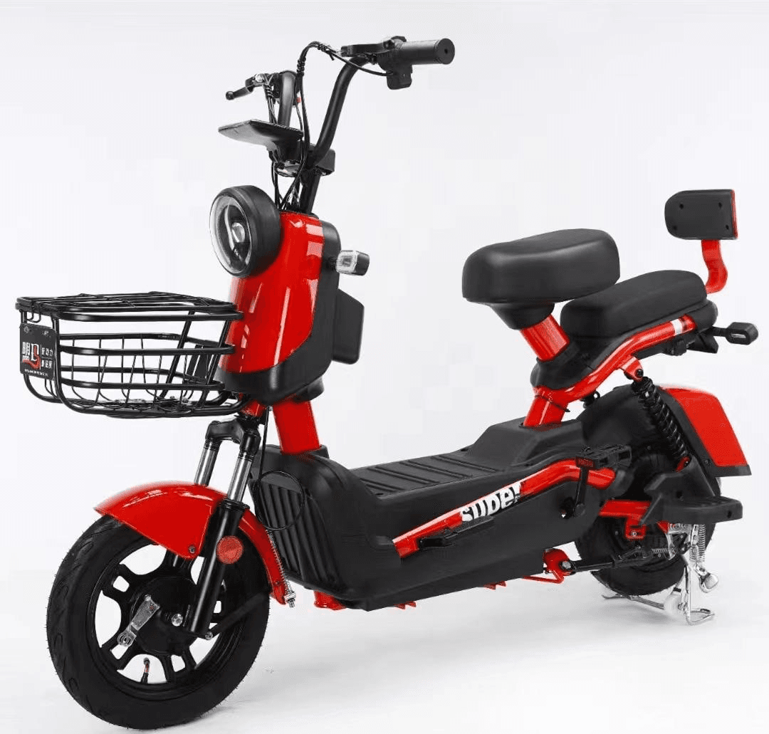 Moto eléctrica XSDU-17